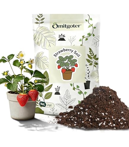 self-watering indoor plant pots Vivid Self Watering Pot