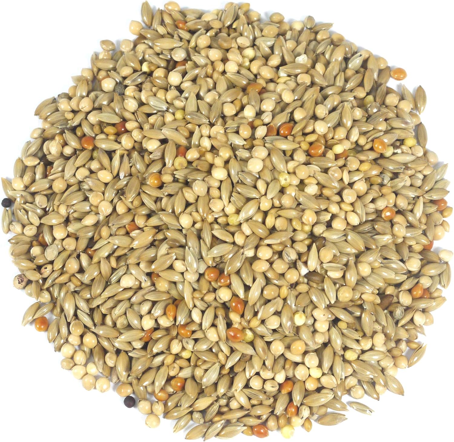 Britten & James Premium Food Mix for Budgies 2L Tub (1.8kg), 1.8 kg (Pack of 1) - Image 3