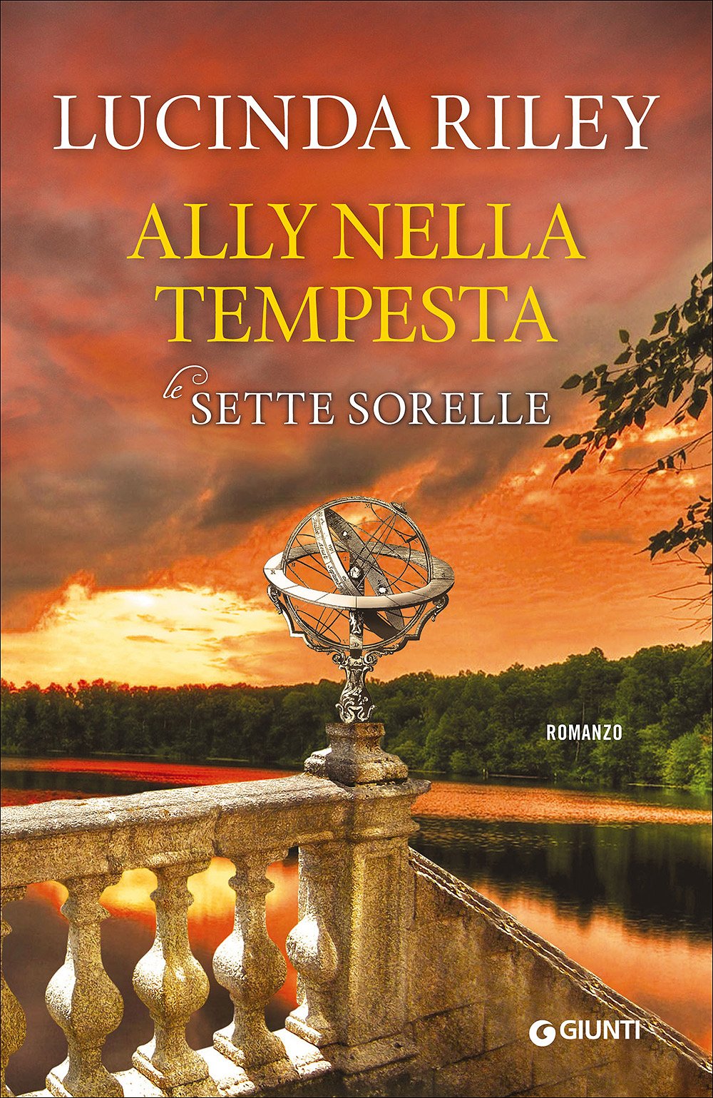 Ally nella tempesta (9788809818385)