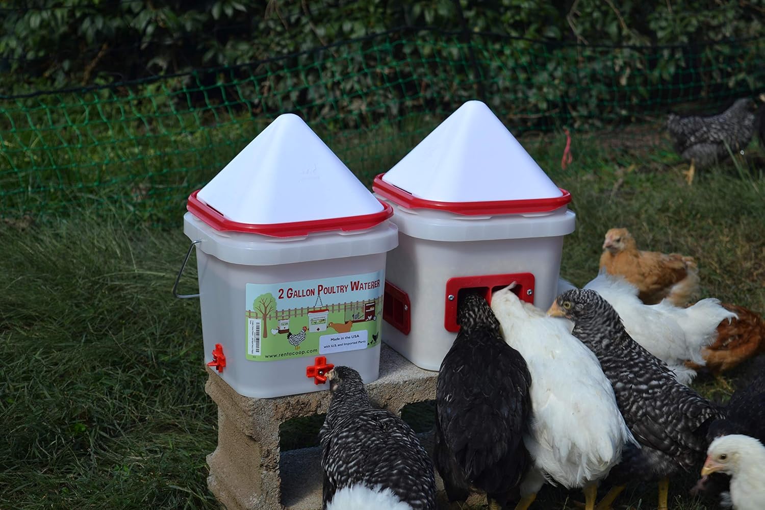 Amazon Com 2 Gallon Chicken Waterer Horizontal Nipple Setup 4