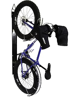 saris locking bike trac