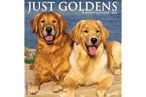 Willow Creek Press Goldens Monthly 2024 Wall Calendar (12" x 12")