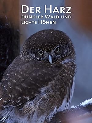 Der Harz Dunkler Wald Und Lichte Hohen Ansehen Prime Video Amazon De