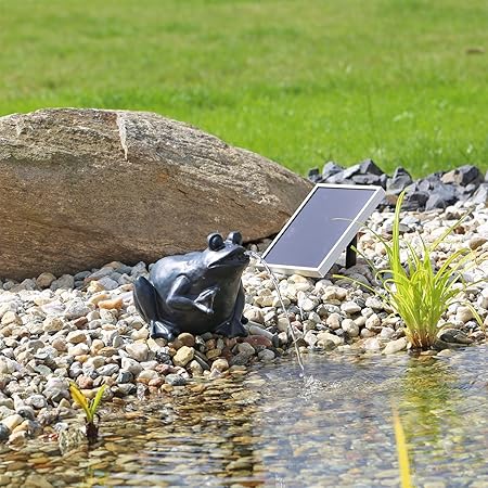 Clgarden Solar Wasserspeier Frosch Nsp9 Springbrunnen Fur Teich Mit Pumpe Amazon De Garten