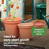 Whitefurze G04022 20cm Garden Pot Terracotta Polypropylene 4 L view 5