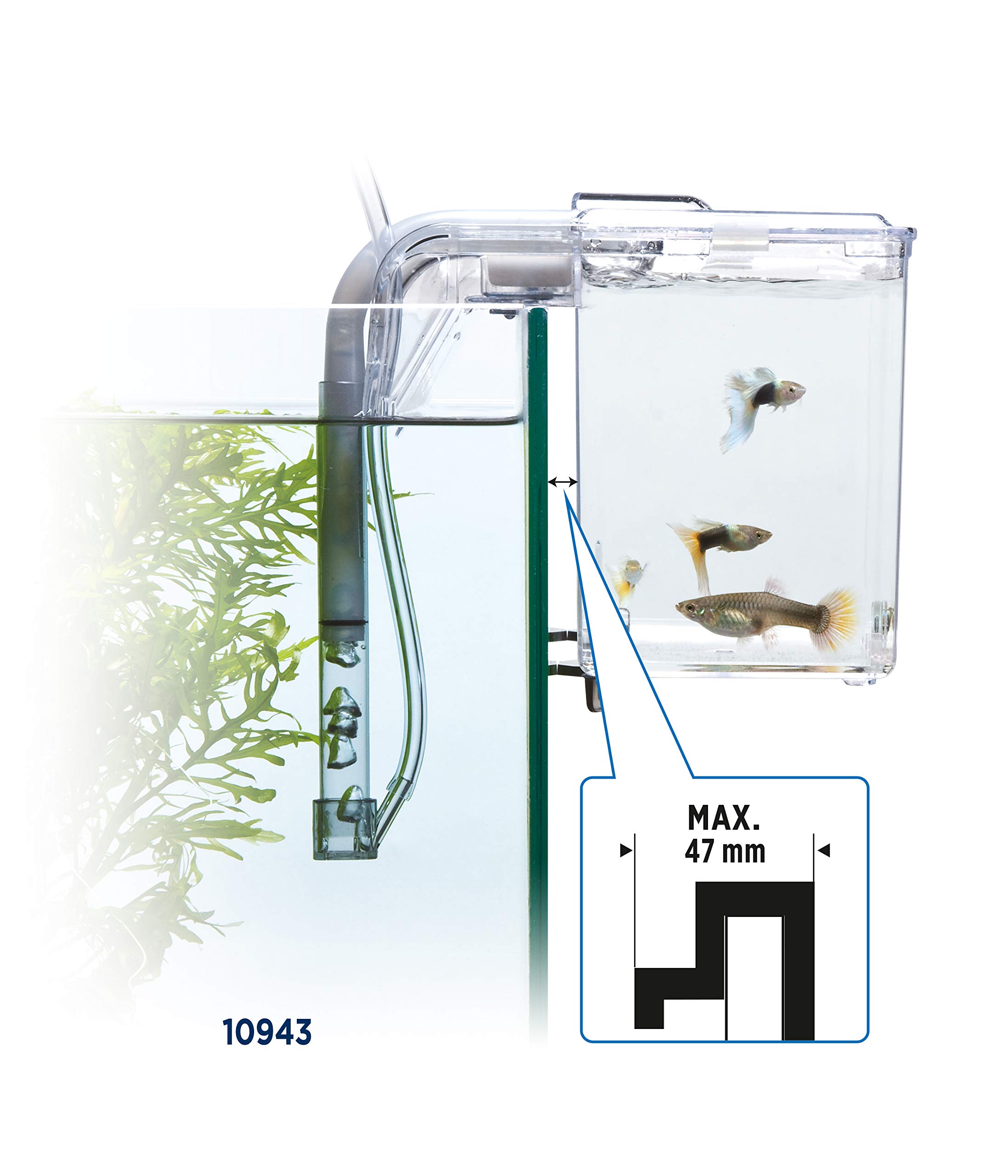 Fluval Multi-Chamber Holding and Breeding Box, Large – Up To 3 Separate Housing Compartments