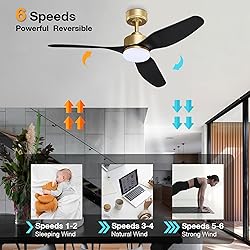 Hoenofly 48 Inch Smart Ceiling Fans with LED Lights