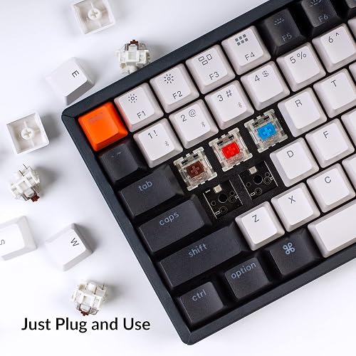 Clavier Mécanique Sans Fil Keychron K2 – Disposition 75% FR – Rétroéclairage Blanc – Switches Super Rouge – Bluetooth 5.2 – Pour Mac/Windows