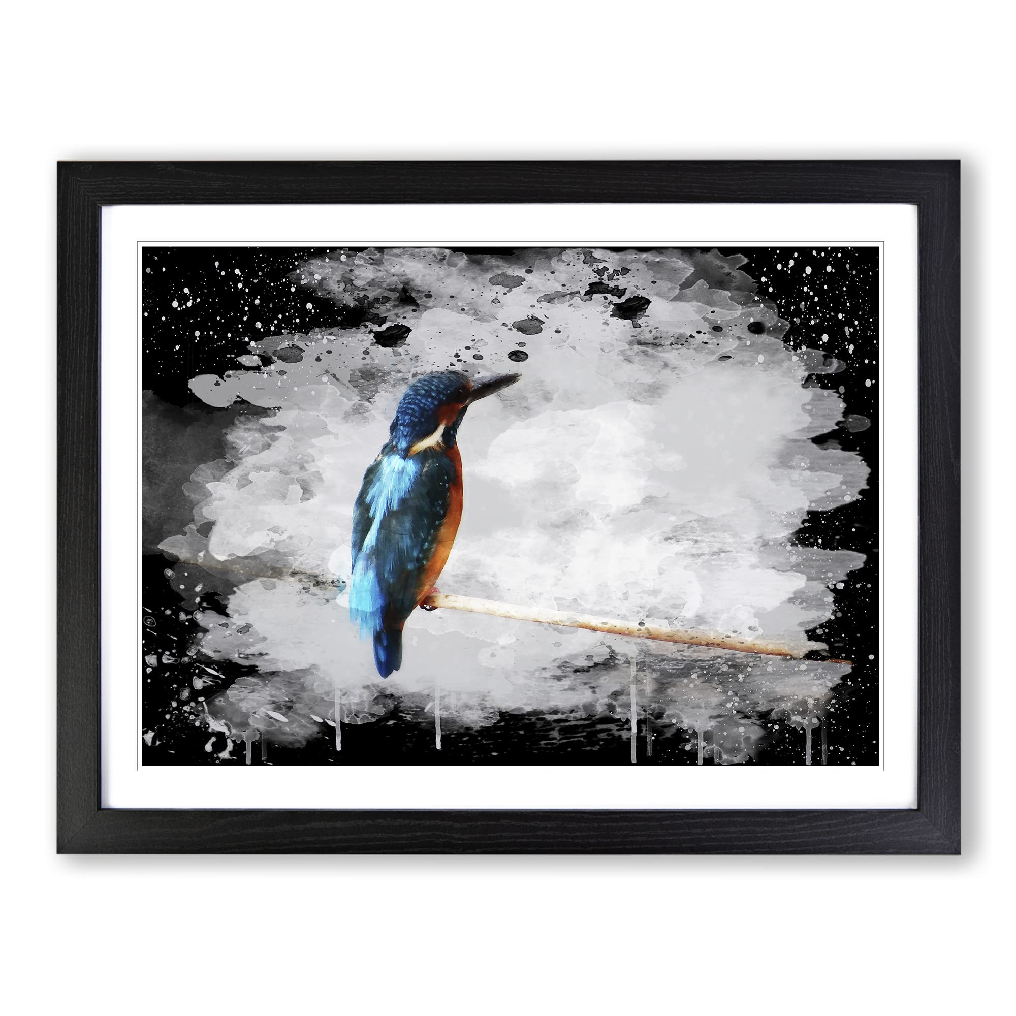 Kingfisher 2 Modern CB Framed Print | A4 Black Framed Wall Art | Ready to Hang | Modern Nature Picture | Living Room Bedroom Lounge Office