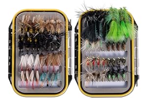 BASSDASH 64pcs Fly Fishing Flies Kit with Waterproof Fly Box for Trout Bass Fishing Dry Flies, Wet Flies, Nymphs, Streamers