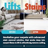 Dirtbusters Spot Cleaning Solution 1L Carpet Cleaner Shampoo view 4