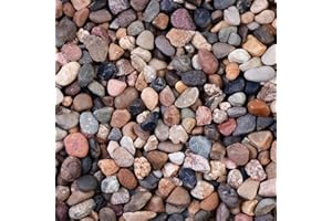 Ausluru 5lb Natural Mixed Color Sand Pebbles, 1/5 inch Decorative Stones for Succulents, Pebbles for Vases,Plants Rocks, Aquarium Sand, Top Dressing, Outdoor Decorative Rocks