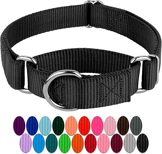 Dog collars amazon Clearance