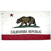 FlagSource California Nylon State Flag, Made in USA, 8x12'