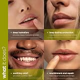 Artnaturals Natural Lip Balm 6-Pack Assorted Flavors Beeswax with Oils view 3