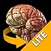 Brain - 3D Atlas of Anatomy - Lite Version