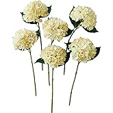 Hydrangea Artificial Flowers,6 Pcs Faux Hydrangea Flowers,Artificial Hydrangeas Flowers with Stems,Fake Hydrangeas,Silk Hydrangeas Flowers with Stems for Home Decor (6, Champagne)