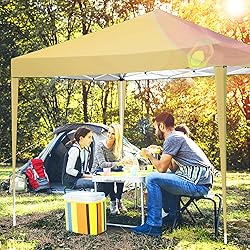 TOOLUCK 10x10 Pop Up Canopy Tent with 3 Sidewalls