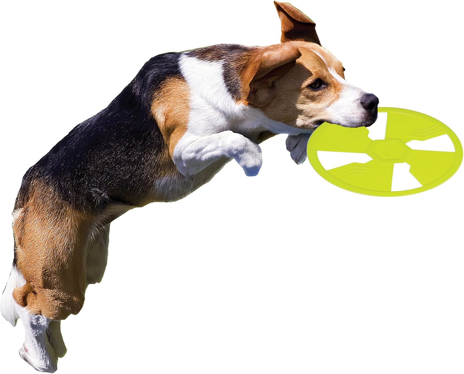 Flying Discs Pet Supplies Red Nerf Dog TPR Float Flyer Flying Disc Dog