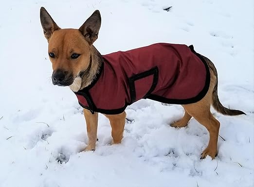 horseware dog coat