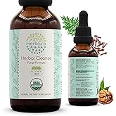 HerbEra Herbal Cleanse Organic Alcohol-Free Tincture | Detox and Cleanse Formula, Extract Supplement | Organic Wormwood Herb, Black Walnut Hull, Cloves Flower Buds | Purge Extract (2 fl oz)