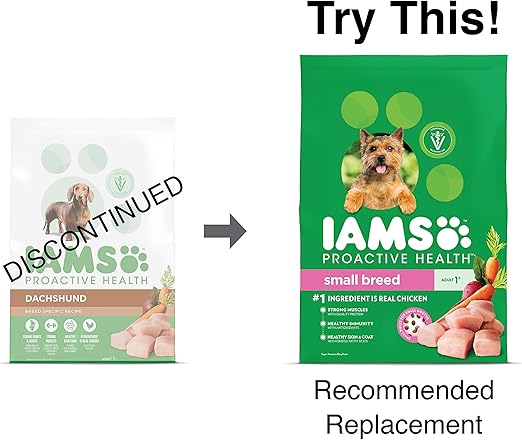 iams dachshund