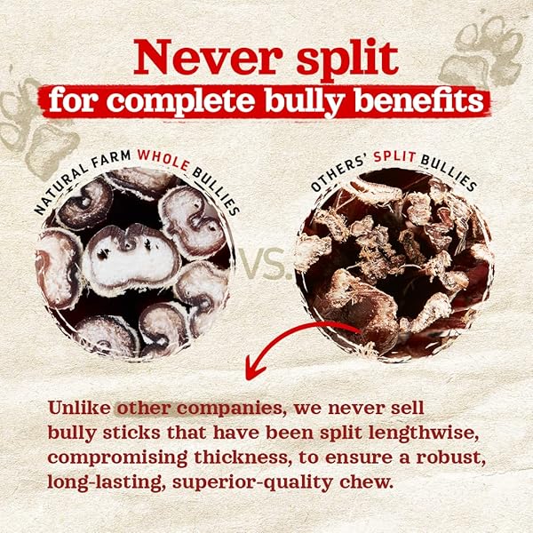 NATURAL FARM ODOR-FREE BULLY STICKS (6 INCH, 6 OUNCES), PACKAGED BY WEIGHT, 100% BEEF CHEWS, GRASS-FED, FULLY DIGESTIBLE TREATS TO KEEP YOUR PUPPIES, SMALL AND MEDIUM DOGS BUSY
