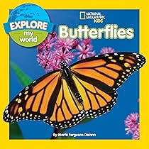Explore My World Butterflies: Delano, Marfe Ferguson 
