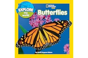 Explore My World: Butterflies