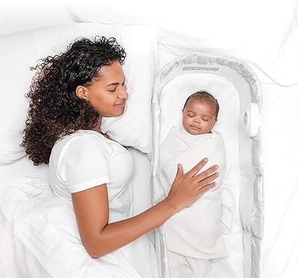 baby delight snuggle nest