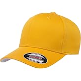 Flexfit Men's Athletic Baseball Fitted Cap