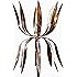 Amazon.com : Stanwood Wind Sculpture Kinetic Copper Wind Sculpture