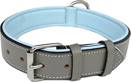 padded leather dog harness