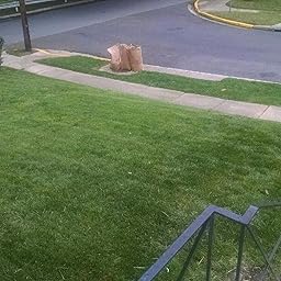 Amazon Com Customer Reviews Outsidepride Midnight Kentucky Bluegrass Lawn Grass Seed 5 Lbs