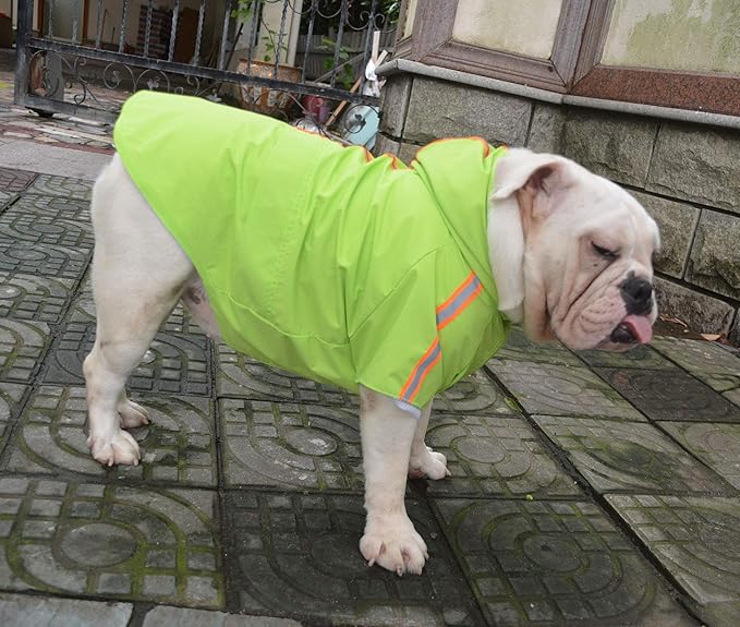 Lovelonglong Impermeabile Impermeabile Per Cani Con Cappuccio Leggero Con Chiusura A Cerniera Con Striscia Riflettente Per Bulldog Inglese Americano Pitbull Verde B L Amazon It Casa E Cucina