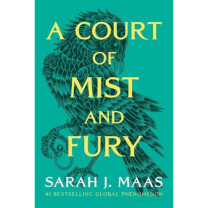 A Court of Thorns and Roses - View 7