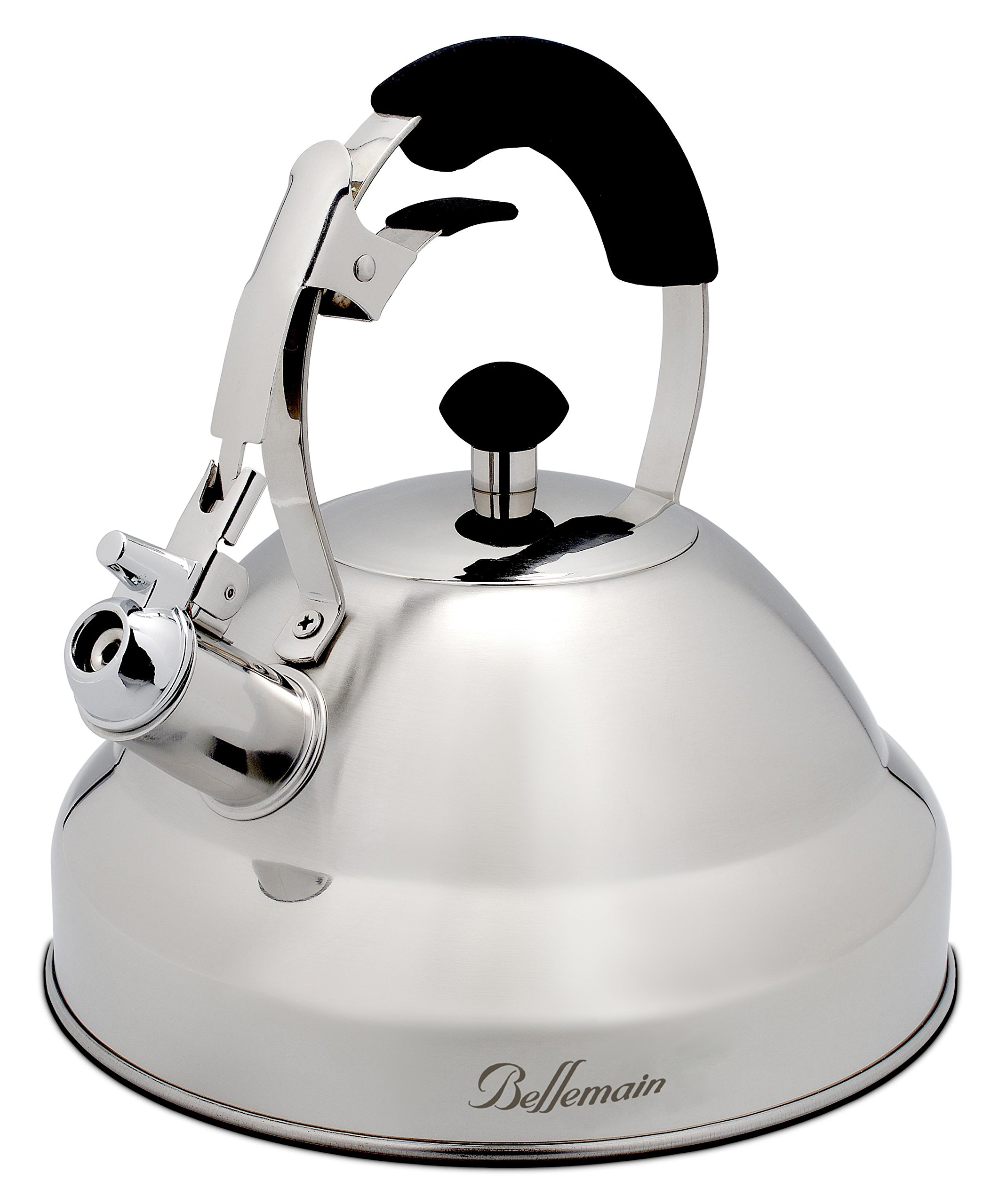 Extra Sturdy Surgical Stainless Steel Whistling Tea Kettle for Stovetop with eBay