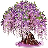 Paper Love 3D Wisteria Tree Pop Up Valentines Day Card, with Detachable Popup Keepsake, Gift for Valentine's Day, Birthday, Graduation, Get Well, Thank You, All Occasion or Just Because - Oversized 10" x 7" Cards - with Envelope and Note