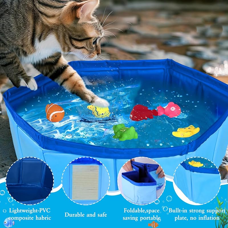 Katzen Pool 30x10cm Faltbare Katzenpool mit 6 Fischen Wasser Spielzeug Faltbarer Pool Interaktives Wasserspielzeug Katze Spielzeug für gelangweilte Indoor Katzen