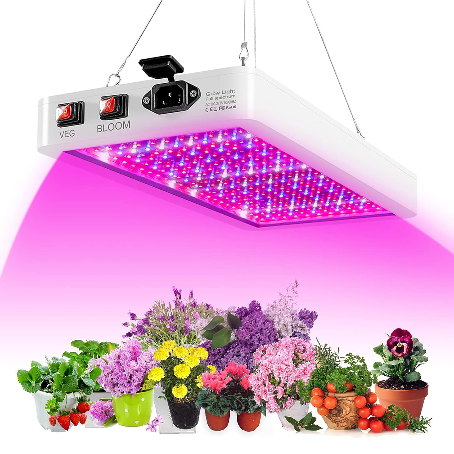 2000W LED Grow Light for Indoor Plants 312 LEDs Full Amazon.in