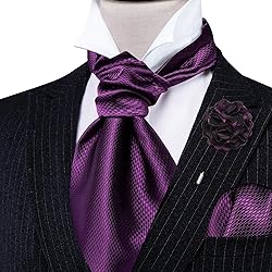 Ailisus Cravat Tie and Lapel Pin Set Mens Solid