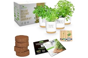 ZESTIGREENS Deluxe Ceramic Indoor Herb Kit 4 Set. Variety Herbs for Indoor & Outdoor – Get Growing with Pots, Potting Soil for Window Herb Garden. (4 Set Ceramic herb kit-New)