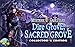Mystery Case Files: Dire Grove, Sacred Grove Collector's Edition