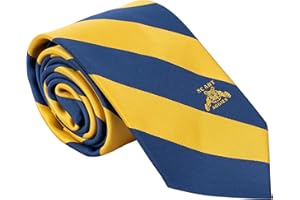 Desert Cactus North Carolina A&T State University Tie Aggies NC A&T 100% Polyester with Logo Officially Licensed (Style A)