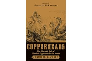 Copperheads: The Rise and Fall of Lincoln's Opponents in the North
