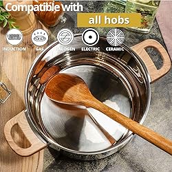Daniks Oslo Stainless Steel Saucepan with Glass