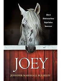 Joey: How a Blind Rescue Horse Helped Others Learn to See