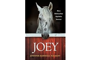 Joey: How a Blind Rescue Horse Helped Others Learn to See