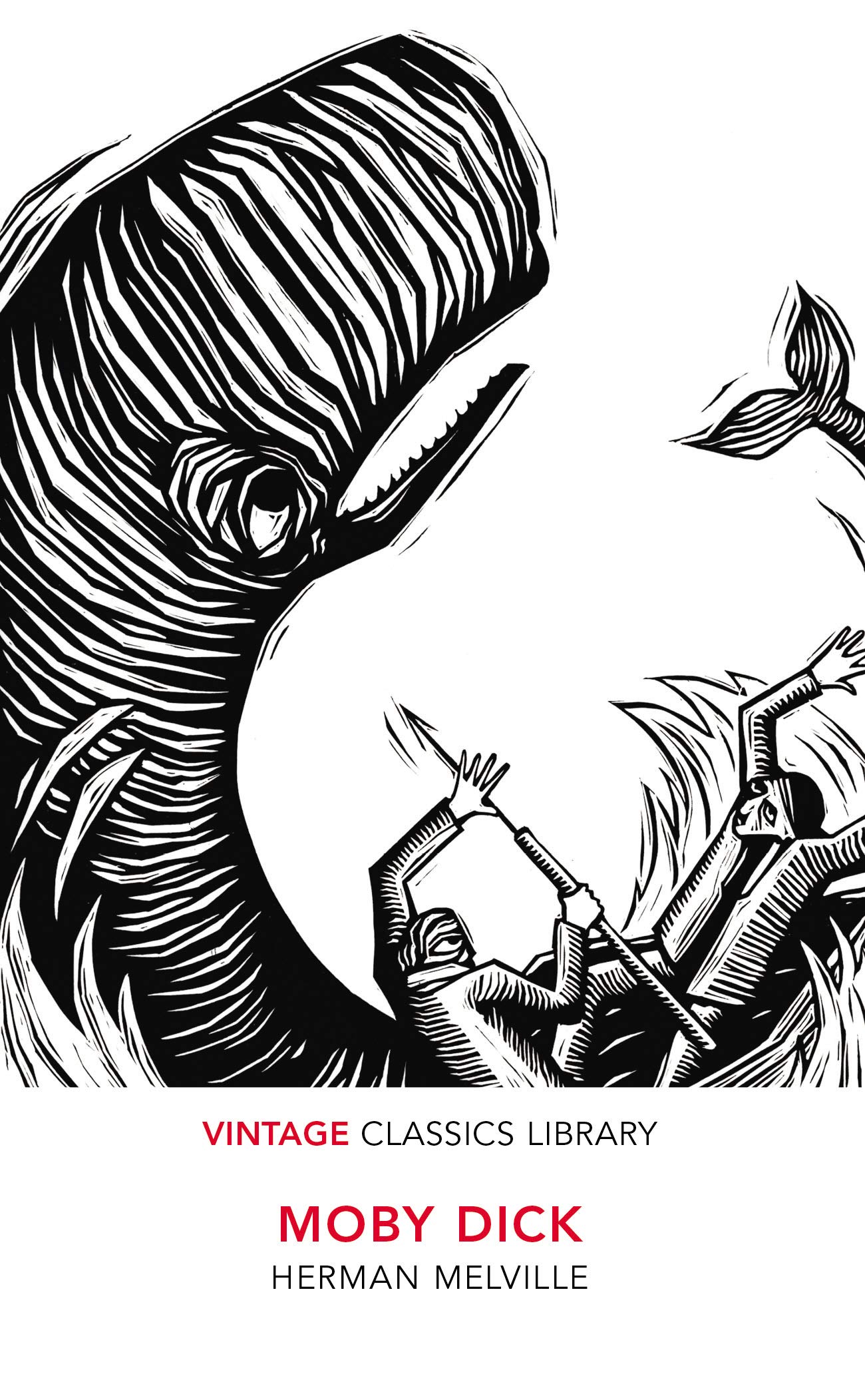 Mua Moby Dick Trên Amazon Nhật Chính Hãng 2025 Fado 
