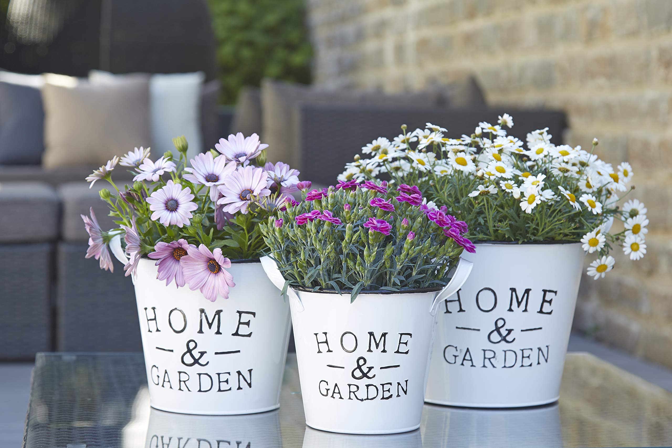 Klocke Pflanzgefäße Beautiful Zinc Planter - Home & Garden - Indoor & Outdoor - Frost-Proof - White Zinc Pot/Zinc Planter/Flower Pot/Table Decoration